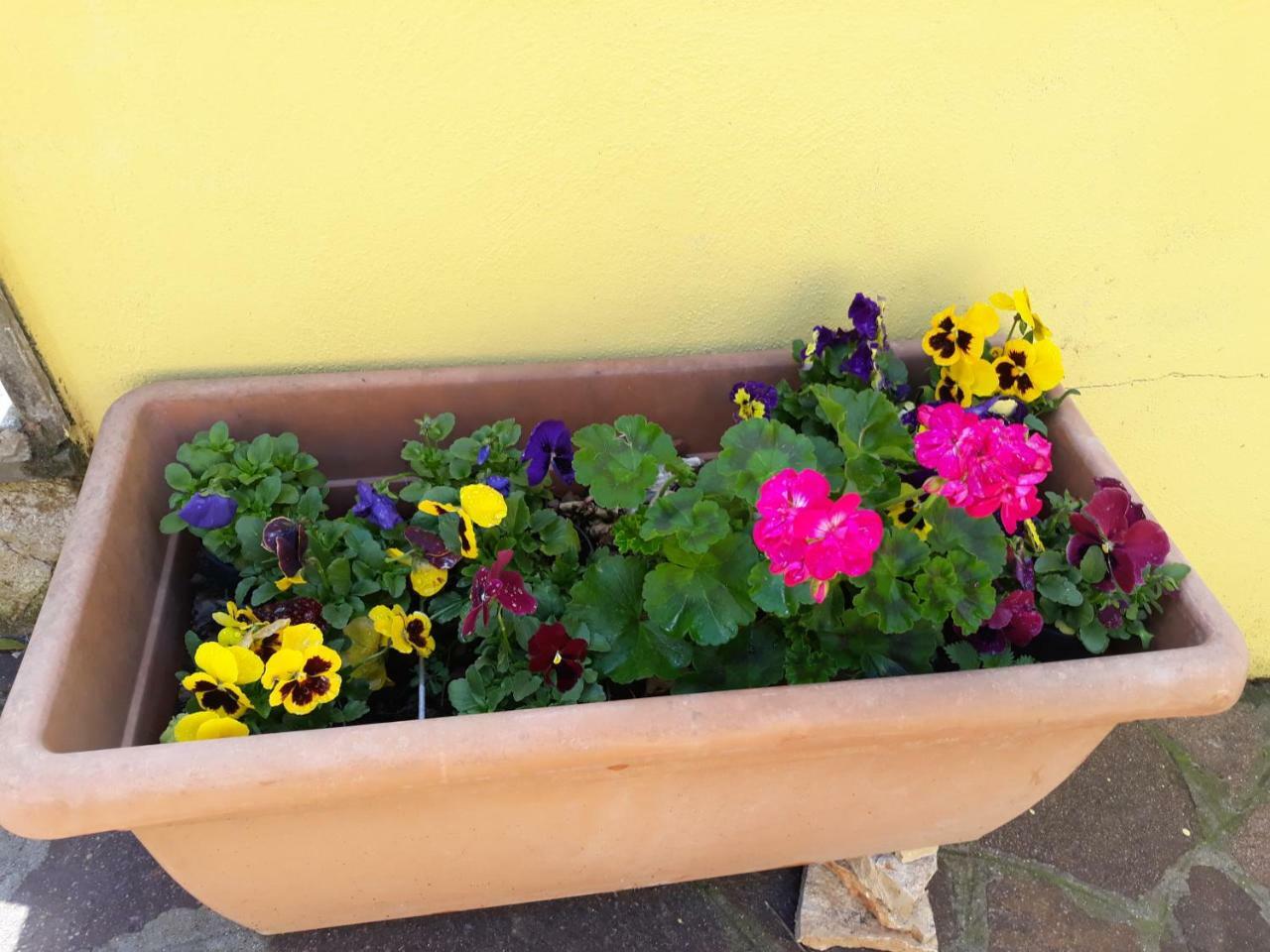 ローマFlowery Houseアパートメント エクステリア 写真