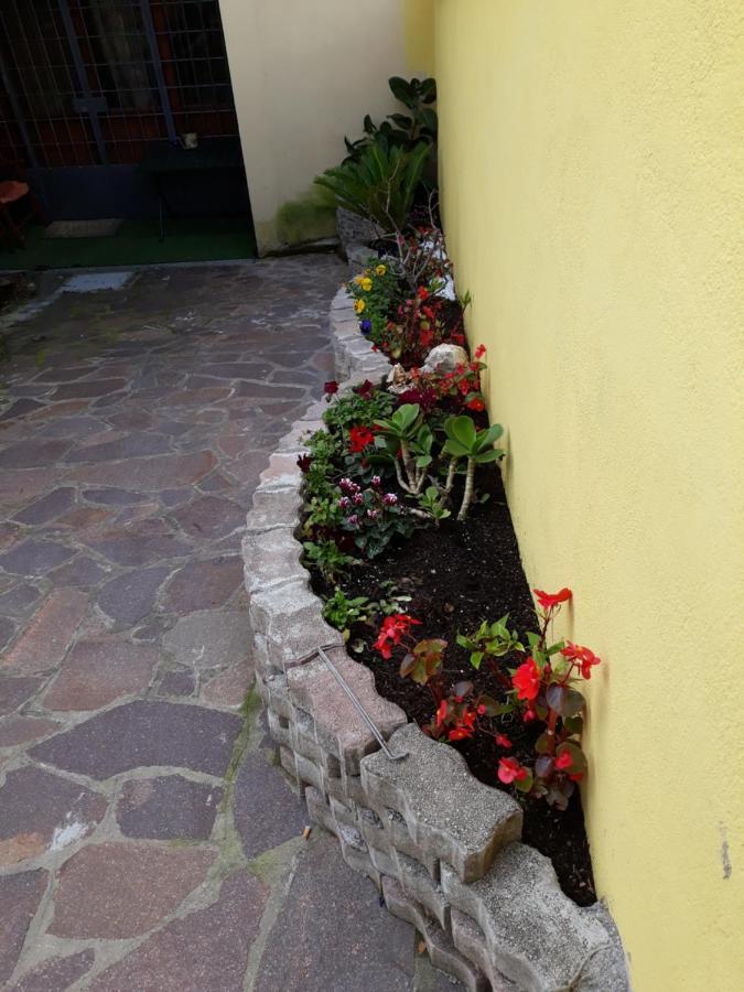 ローマFlowery Houseアパートメント エクステリア 写真